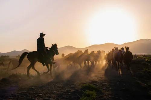 Red Dead Redemption 2 Ultimate Edition – Your Ultimate Western Journey Starts at vbrae.com