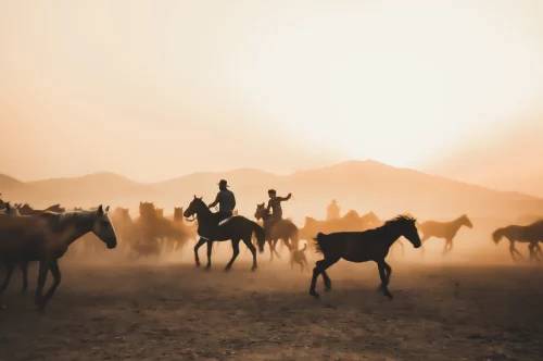 Red Redemption 2 Ultimate Edition – The Definitive Wild West Experience Awaits You at vbrae.com