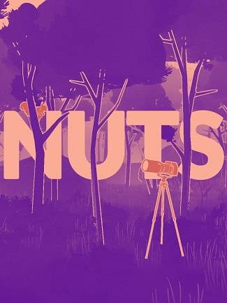 Nuts Steam Clé CD Global