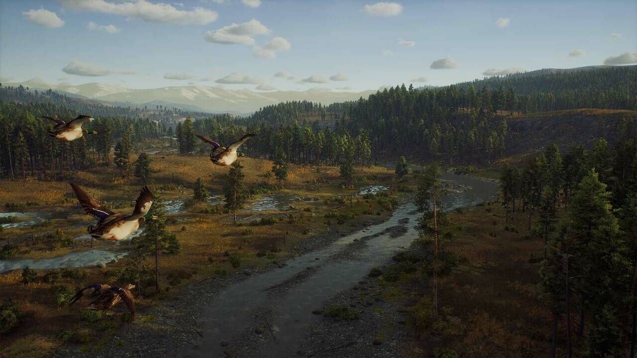 Der Zugriff auf das Xbox Series X/S-Konto des Jägers erfolgt NUR in Großbritannien