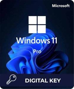 Microsoft Windows 10/11 Pro 1 PC Phone Activation Key GLOBAL