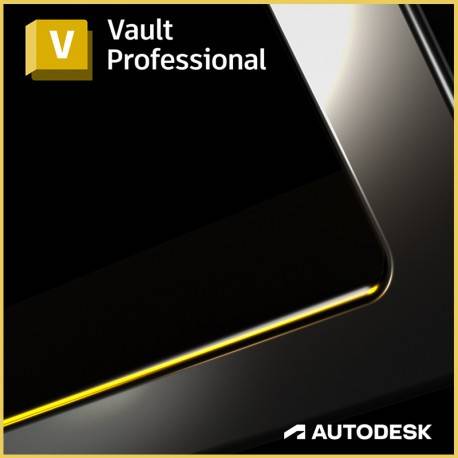 Vault Professional 2024 For 1 Windows PC 1 Year License Activation CD Key