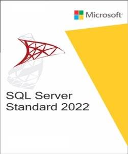 Clé de licence Microsoft SQL Server 2022 Standard 16 Core Unlimited User CALs GLOBAL