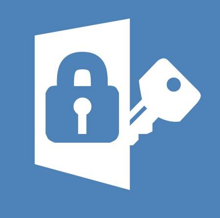 AceBIT Password Depot 16 License Key GLOBAL