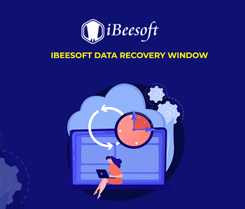 iBeesoft Data Recovery for Windows License Key GLOBAL