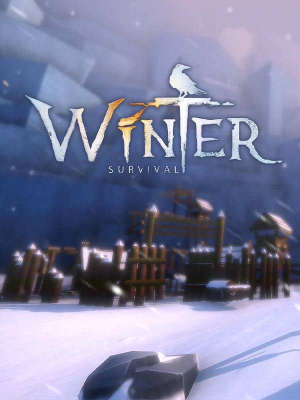 Winter Survival Steam CD Key Global