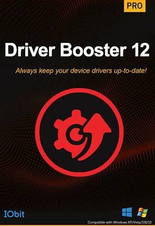 IObit Driver Booster 12 Pro 1 anno