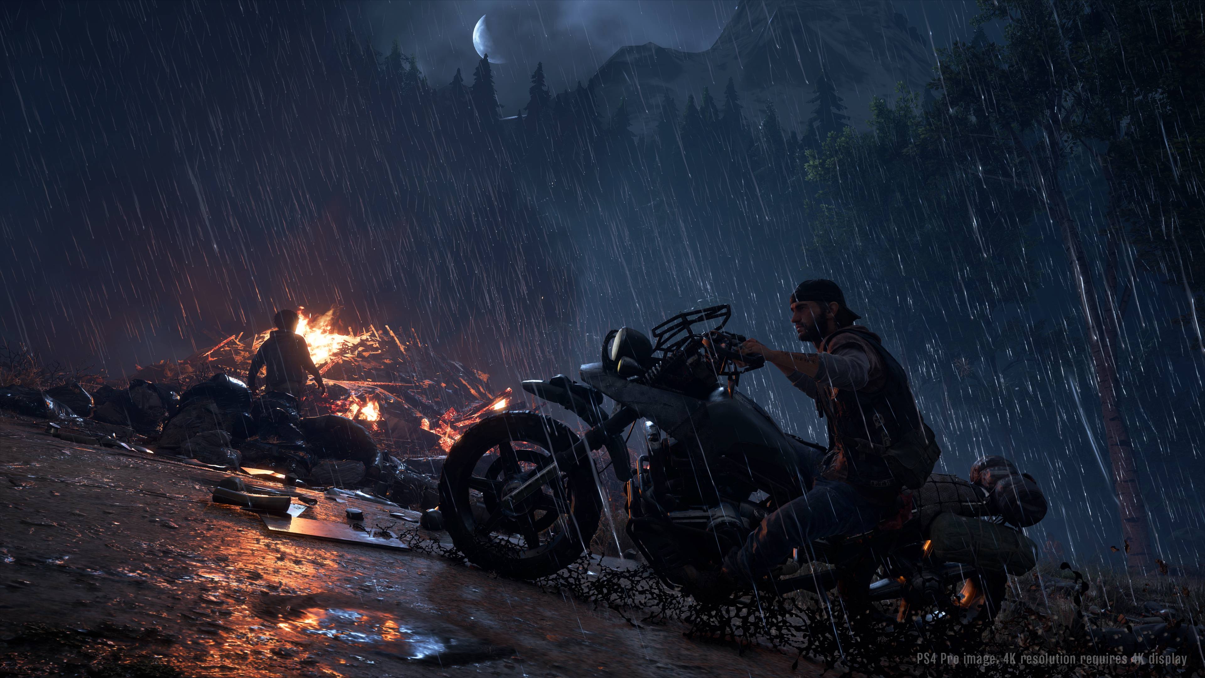 Days Gone PC Steam CD Key