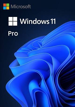Microsoft Windows 11 RTM Professional MAK Volume 250 Users Key